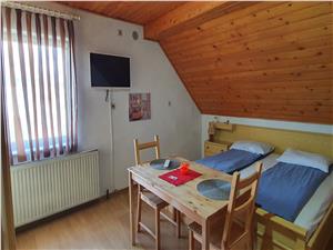 Doua case pentru locuit sau pensiune in Sibiu