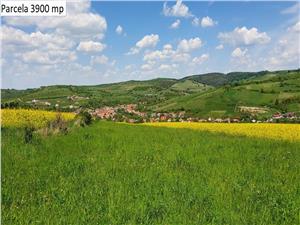 Teren agricol de vanzare in Hamba Sibiu, 4 parcele