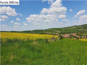 Teren agricol de vanzare in Hamba Sibiu, 4 parcele