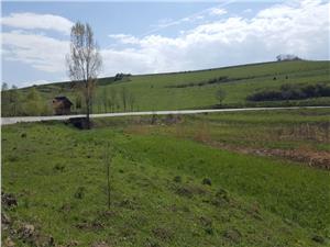 Vand 36 ha, teren agricol in Ocna Sibiului