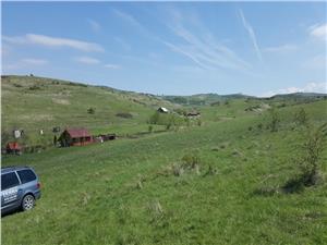 Vand 36 ha, teren agricol in Ocna Sibiului