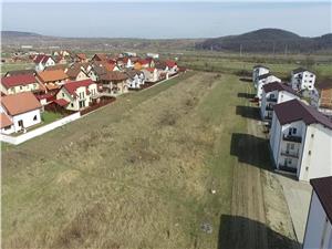 Oportunitate investitie,15000mp, zona Dracula Selimbar (video drona)