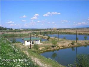Lac cu Pesti de vanzare in judetul Sibiu